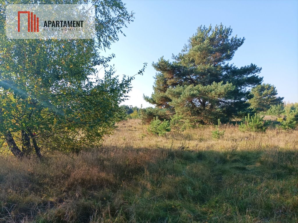 Działka 16 800 m2 z warunkami zabudowy, cisza i spokój Gutowo  16 800m2 Foto 1