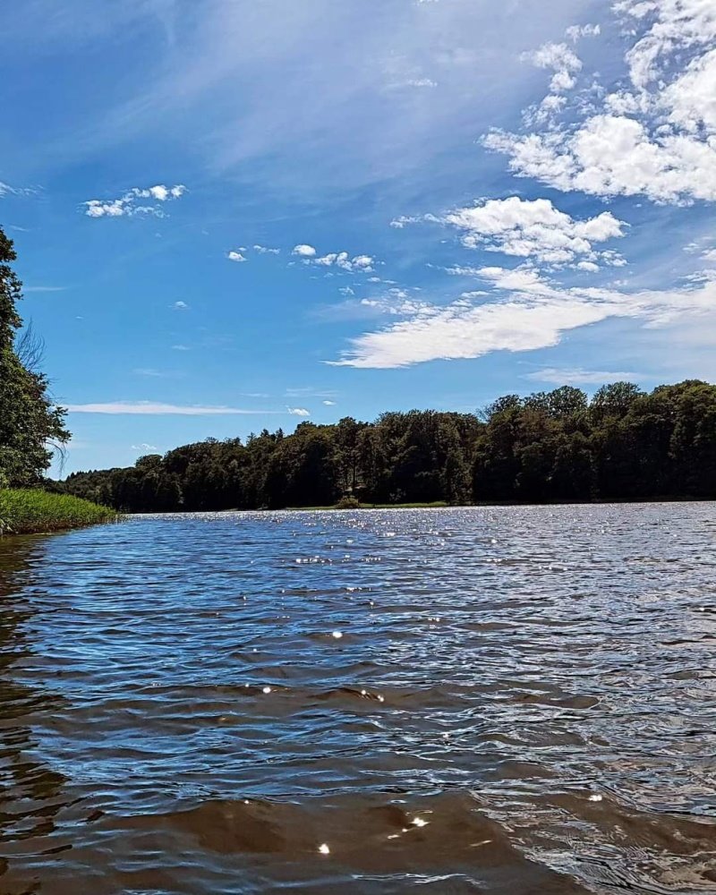 Działka budowlana na sprzedaż Gryfice, Gryfice, Kołomąć  3 300m2 Foto 7