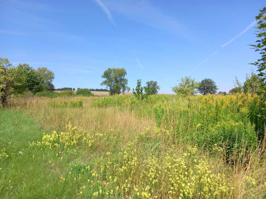 Działka budowlana na sprzedaż Wieruszów, Wieruszów  2 100m2 Foto 4