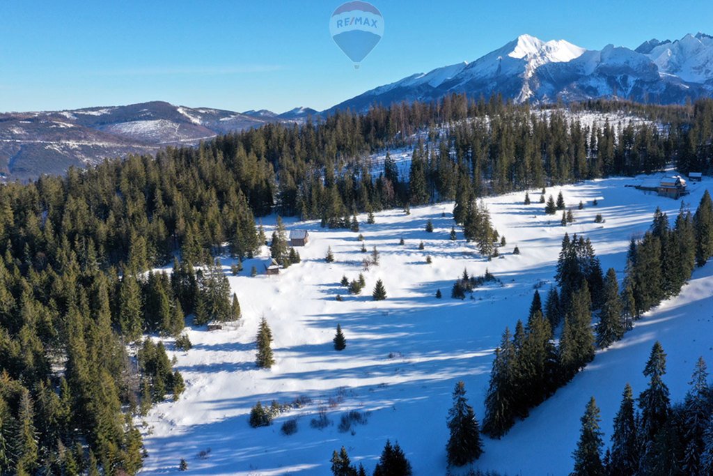 Działka rolna na sprzedaż Bukowina Tatrzańska  4 290m2 Foto 2