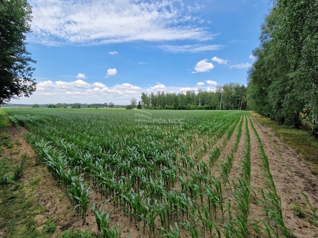 Działka rolna na sprzedaż Stelmachowo  39 700m2 Foto 18