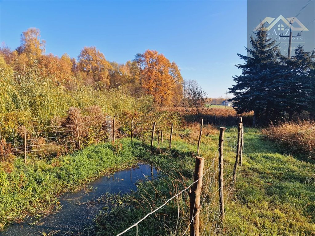 Działka budowlana na sprzedaż Pilzno  800m2 Foto 3