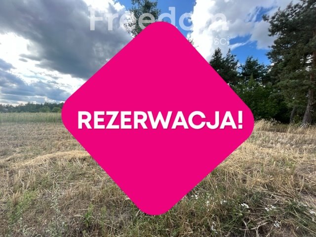 Działka budowlana na sprzedaż Obrowo, Podgórna  2 265m2 Foto 6