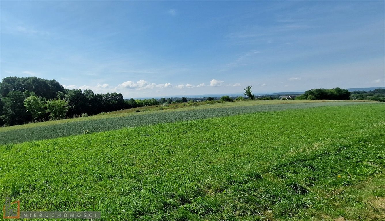 Działka inna na sprzedaż Bibice  5 061m2 Foto 1