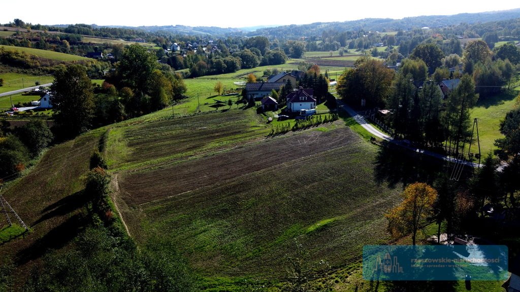 Działka budowlana na sprzedaż Chmielnik  4 800m2 Foto 7