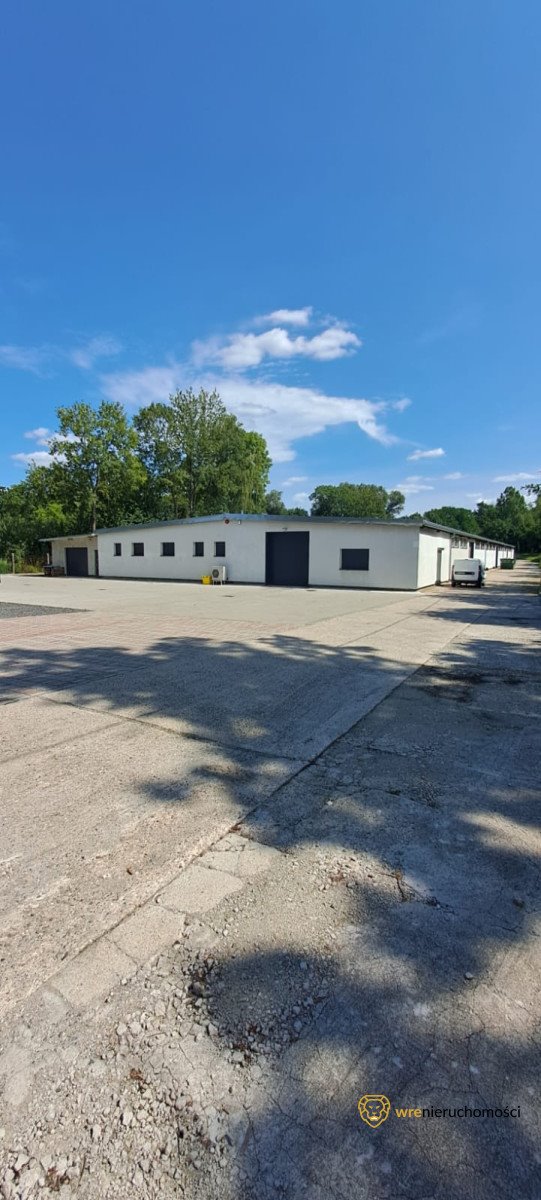 Lokal użytkowy na wynajem Bolesławiec  1 000m2 Foto 1