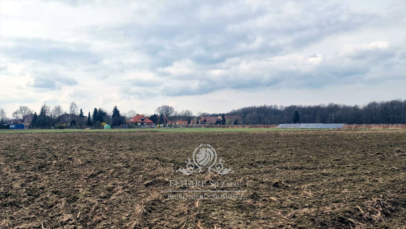 Działka budowlana na sprzedaż Sokolniki, Sokolniki  3 000m2 Foto 8