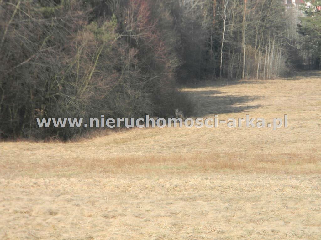 Działka budowlana na sprzedaż Lipowe 10 000m2 Foto 1 Działka budowlana na sprzedaż Lipowe 10 000m2 Foto 1