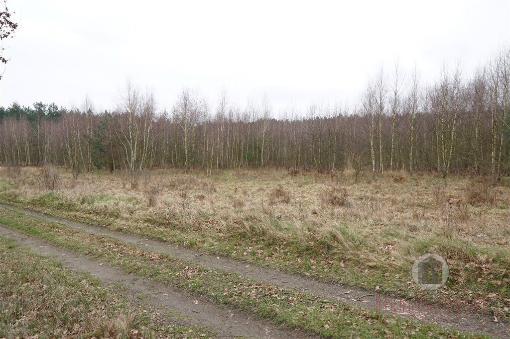 Działka budowlana na sprzedaż Bledzew  1 000m2 Foto 3