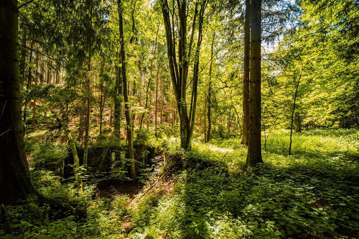 Działka z potokiem i widokiem na skały - atrakcyjna cena. Duszniki-Zdrój, Działka budowlana z linią brzegową górskiego potoku  1 377m2 Foto 1