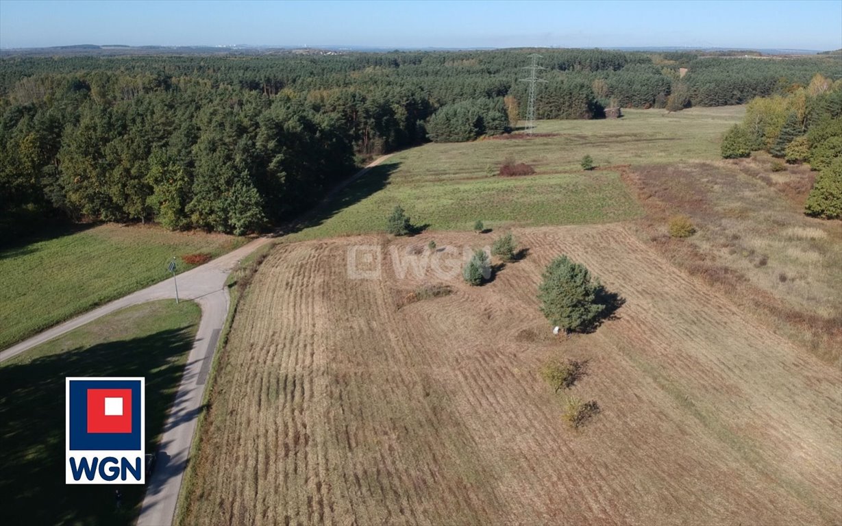 Działka budowlana na sprzedaż Luszowice, Okradziejówka, Mokra  1 902m2 Foto 4