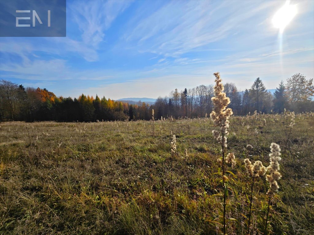 Działka budowlana na sprzedaż Lutcza  7 000m2 Foto 2