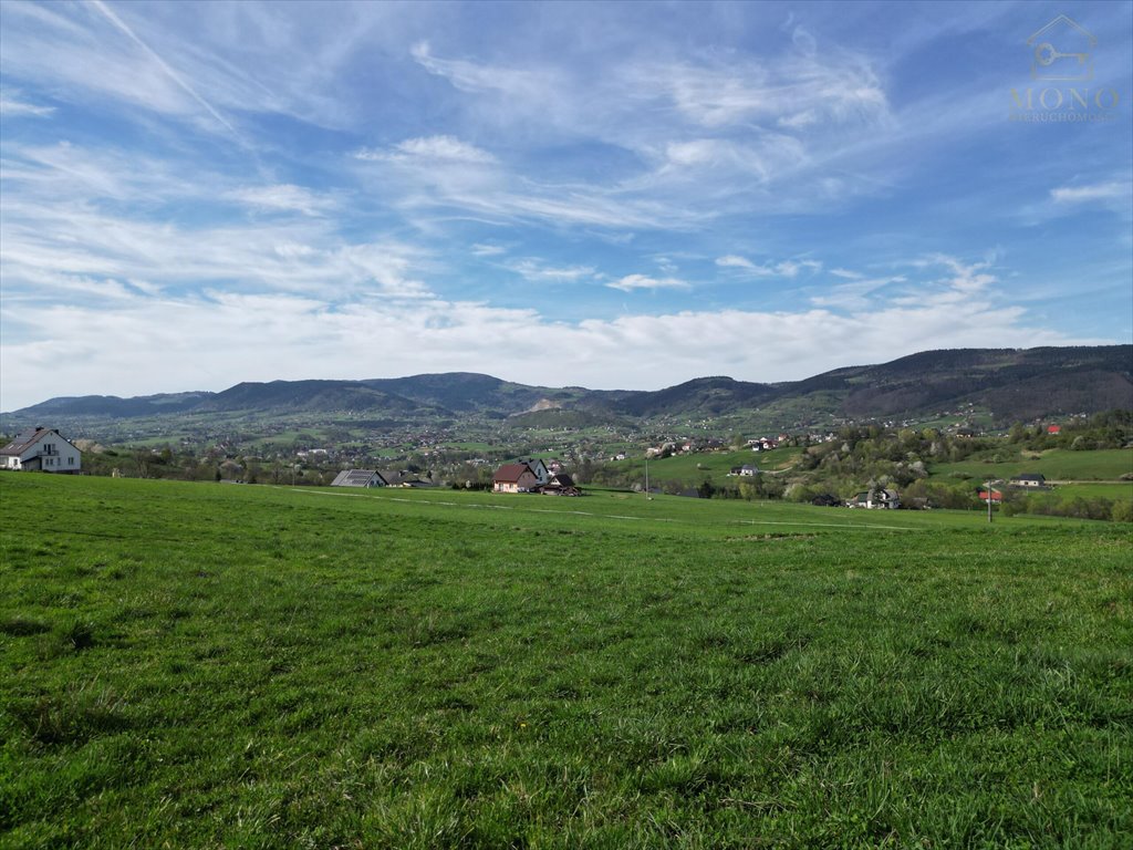 Działka rolna na sprzedaż Krasne Potockie  8 200m2 Foto 6