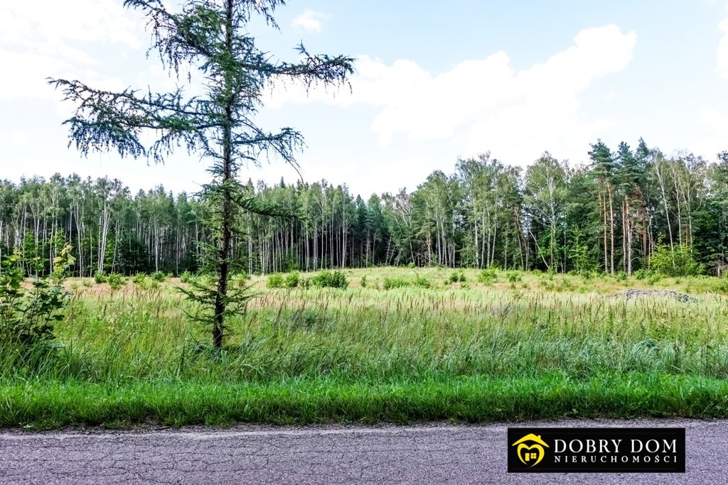 Działka budowlana na sprzedaż Szerenosy  3 557m2 Foto 1