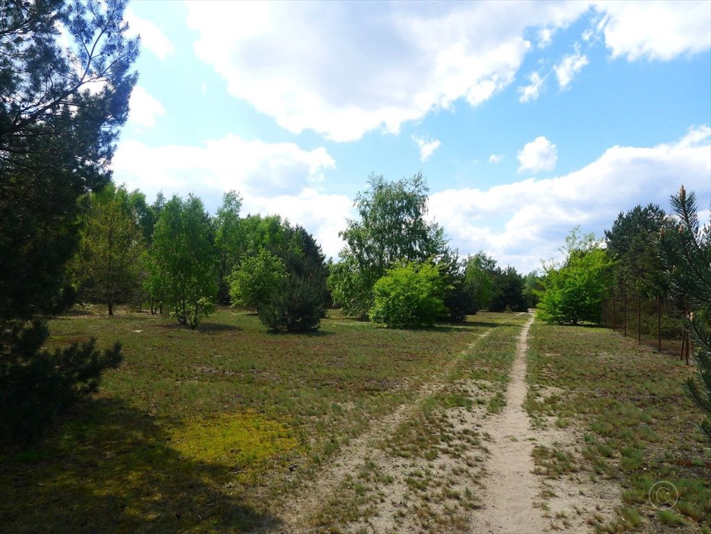 Działka rolna na sprzedaż Władysławów  11 722m2 Foto 2