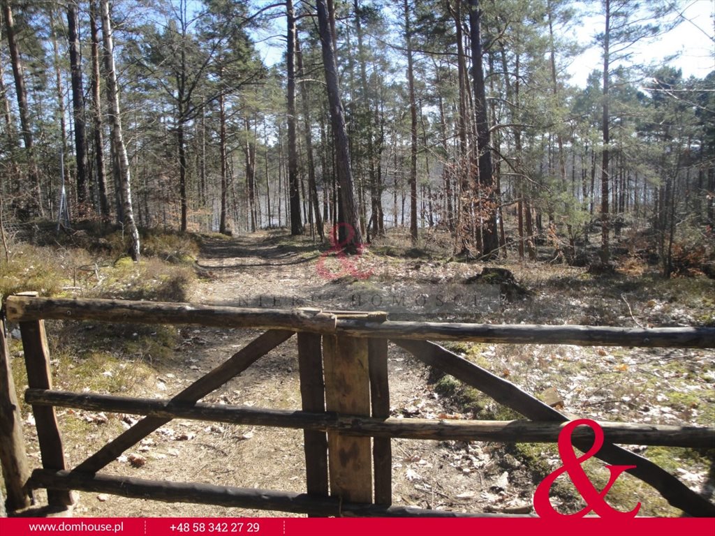Działka leśna na sprzedaż Borek Kamienny  3 100m2 Foto 4