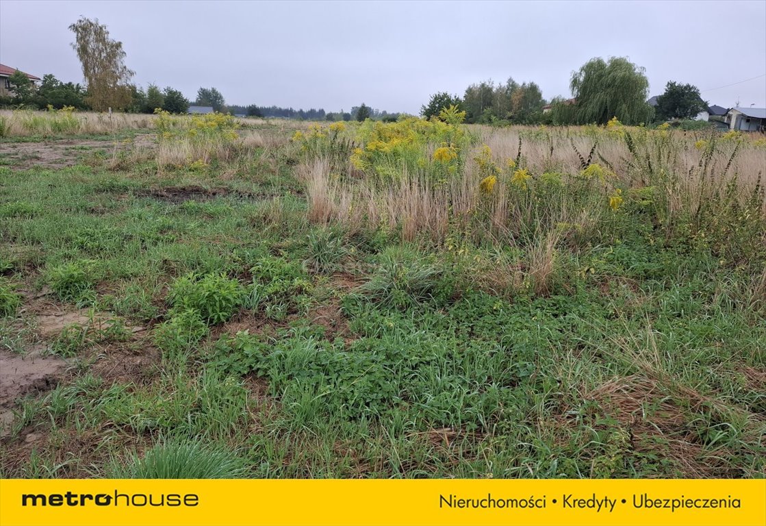 Działka inna na sprzedaż Rusiec, Łąkowa  1 000m2 Foto 3