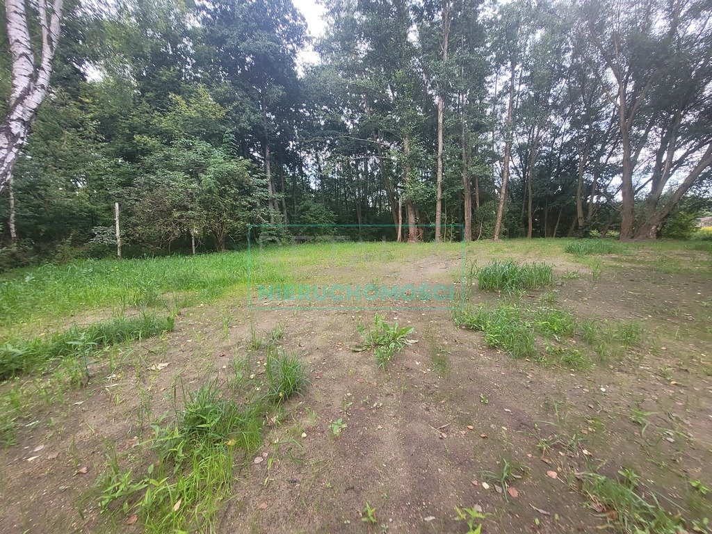 Działka budowlana na sprzedaż Opypy  1 606m2 Foto 4