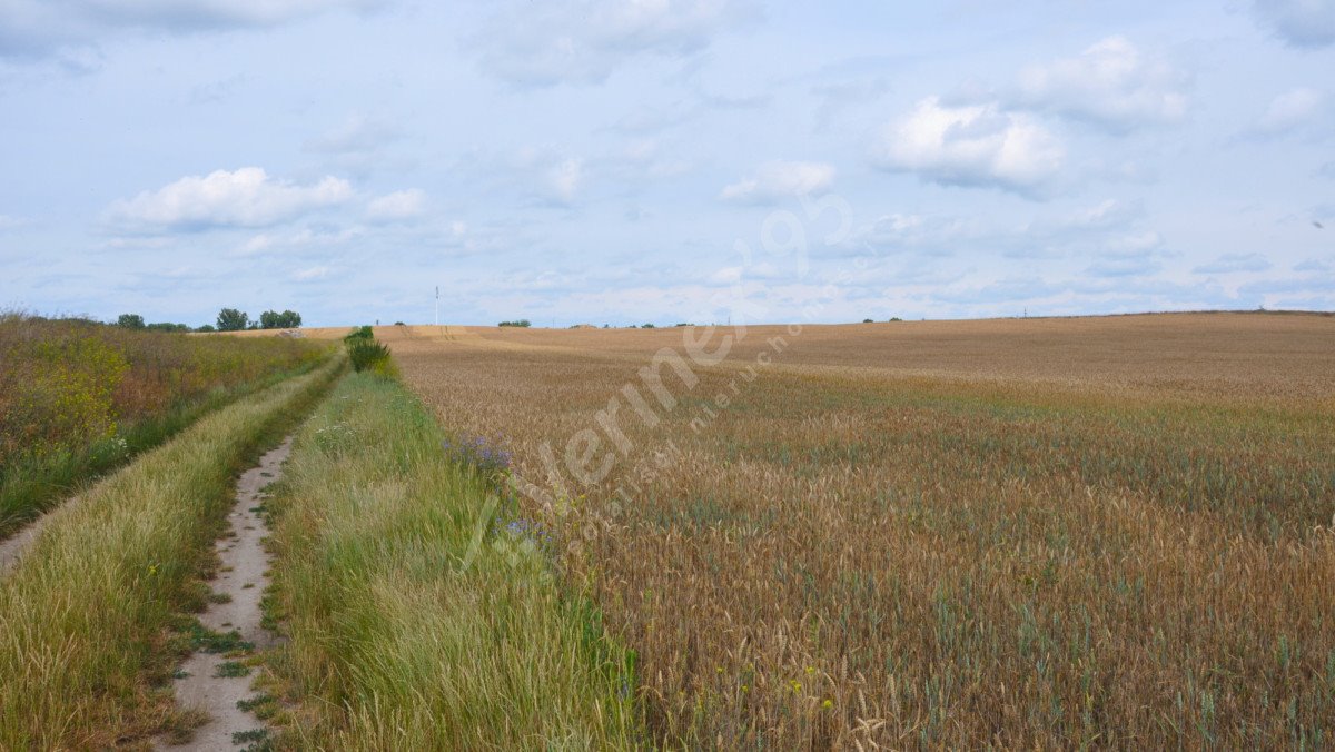 Działka budowlana na sprzedaż Swadzim  23 663m2 Foto 3