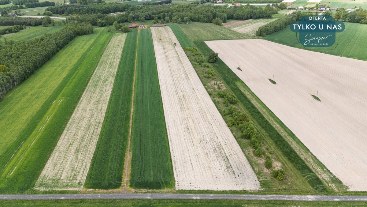 Działka 2,63 ha z mediami, lasami i rekreacją Przymiłów  26 200m2 Foto 1