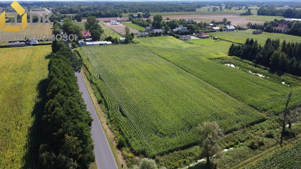 Działka budowlana na sprzedaż Lubiejew  1 308m2 Foto 5