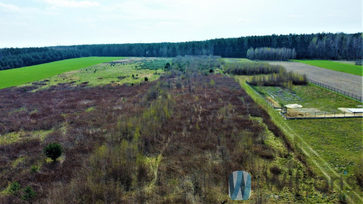 Działka budowlana na sprzedaż Ludwikowo  19 800m2 Foto 6