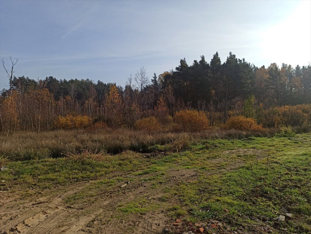 Działka budowlana na sprzedaż Leśniewo, Pucka  2 369m2 Foto 3