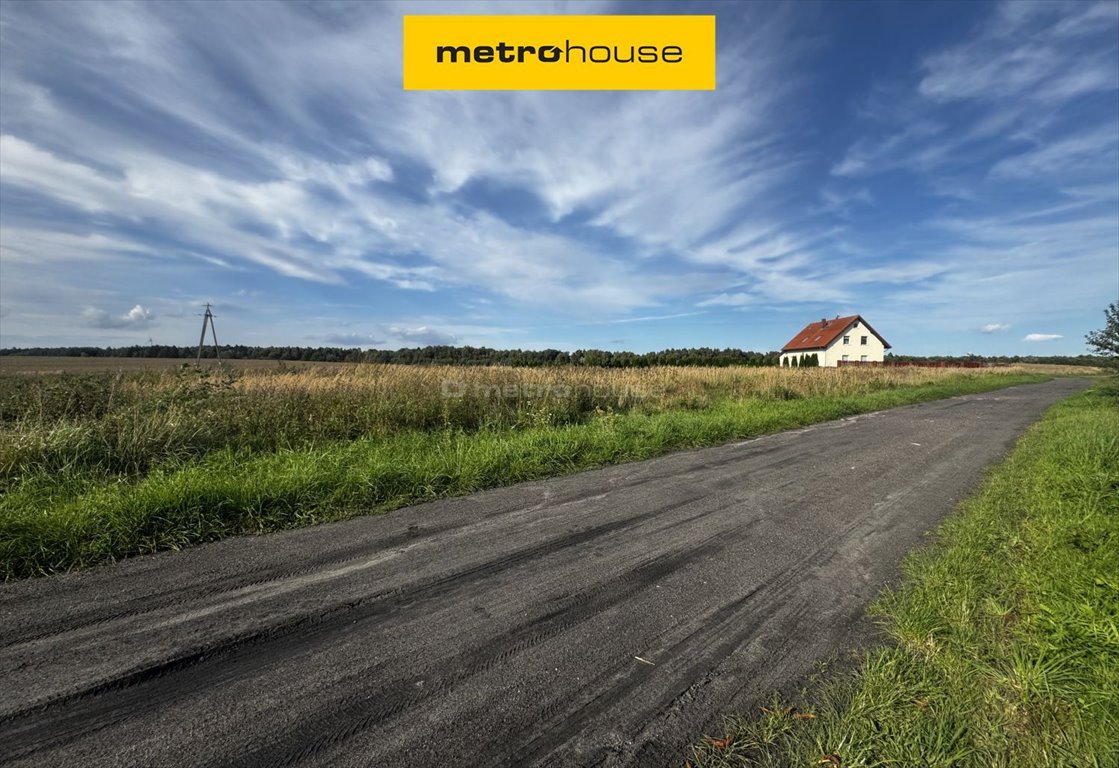 Działka siedliskowa na sprzedaż Czernin  6 100m2 Foto 1