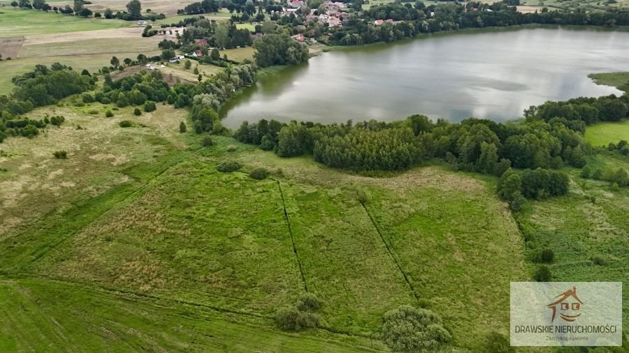 Działka rolna na sprzedaż Nętno, Nętno  12 400m2 Foto 7