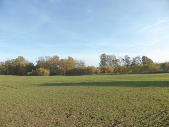 Działka budowlana na sprzedaż Dobra (Szczecińska), BUK  800m2 Foto 7