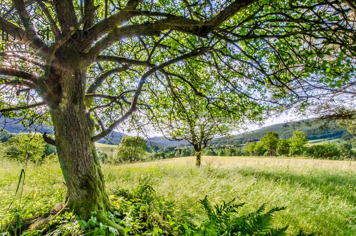 Działka budowlana na sprzedaż Bartne  3 030m2 Foto 1