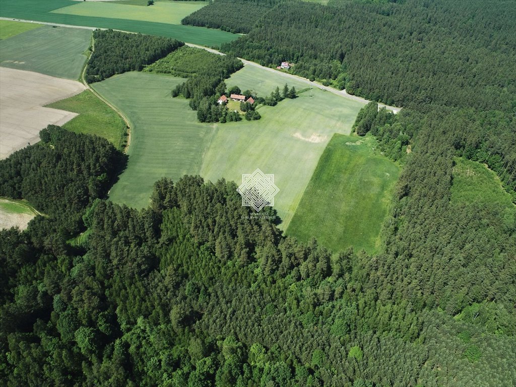 Działka inwestycyjna na sprzedaż Mierki  1 500m2 Foto 4