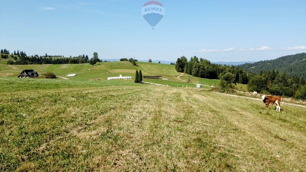 Działka rolna na sprzedaż Rzepiska  760m2 Foto 8