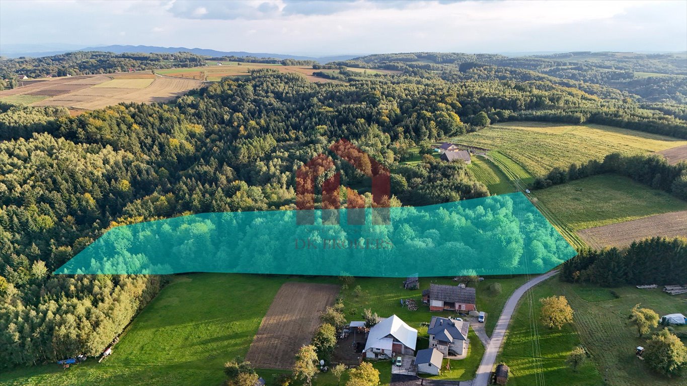 Działka budowlana na sprzedaż Wielopole Skrzyńskie  14 700m2 Foto 1