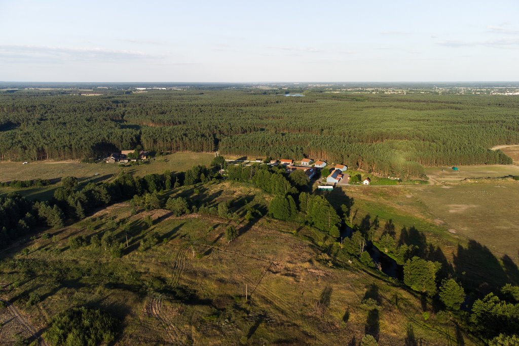 Działka budowlana na sprzedaż Drawiny  6 600m2 Foto 2