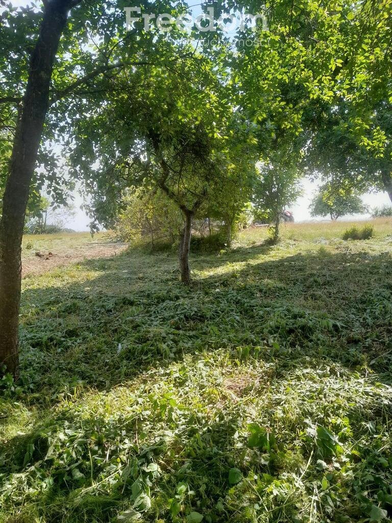 Polecam siedlisko 3027 m² z domem i budynkami w Pniewie Pniewo  3 027m2 Foto 1