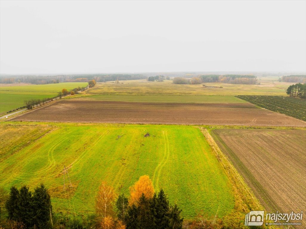 Działka budowlana na sprzedaż Węgorza, Wieś  1 498m2 Foto 4