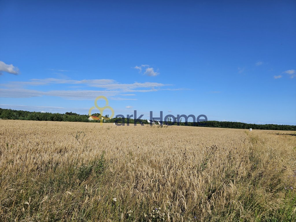 Działka budowlana na sprzedaż Konarskie  6 941m2 Foto 4