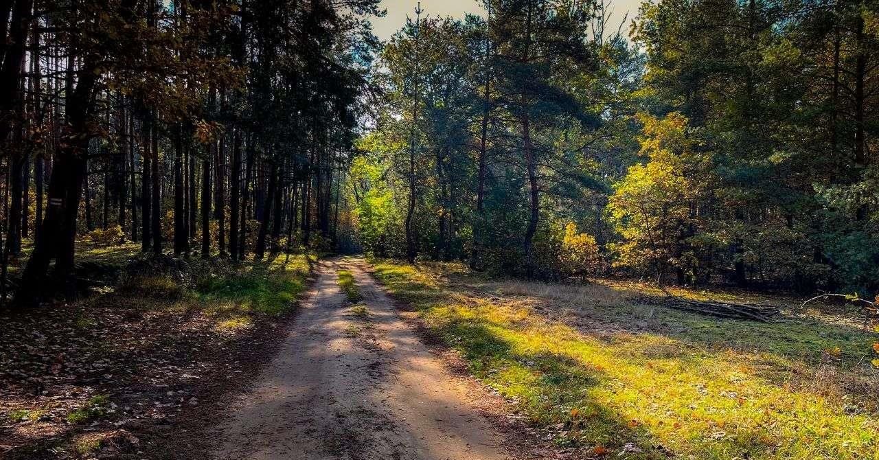 Działka budowlana na sprzedaż Ostrołęka  1 500m2 Foto 17