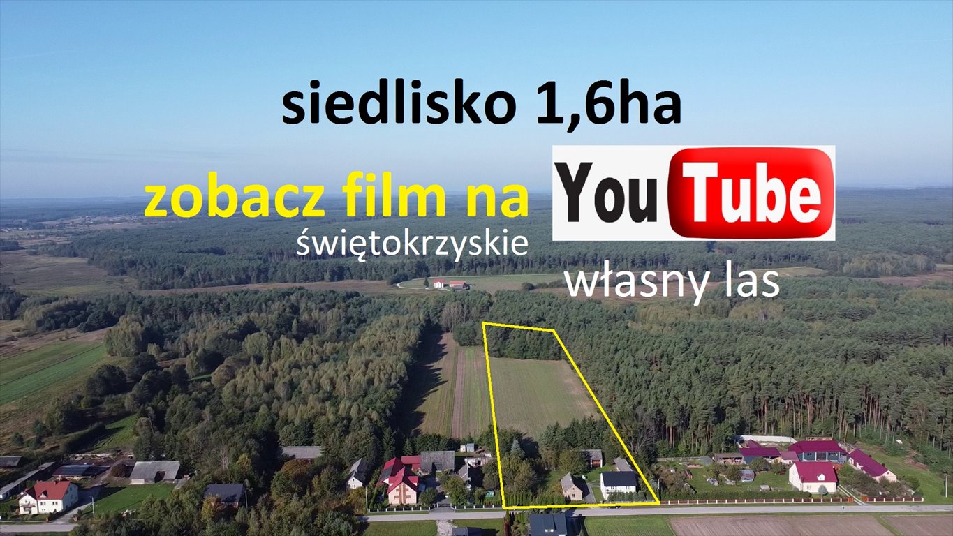 Zapraszam do obejrzenia siedliska z lasem, 2 domy, 170 m² Łosienek  170m2 Foto 1