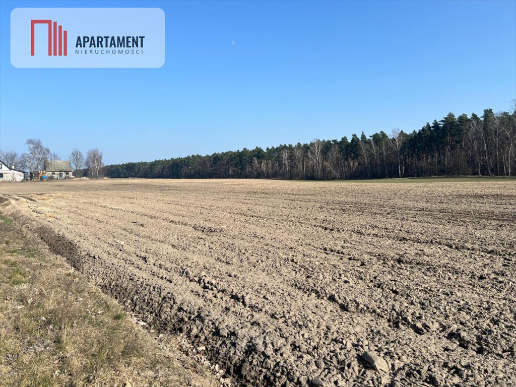 Działka 4773 m2 blisko lasu, podział, cisza i natura Ojrzanowo  4 773m2 Foto 1