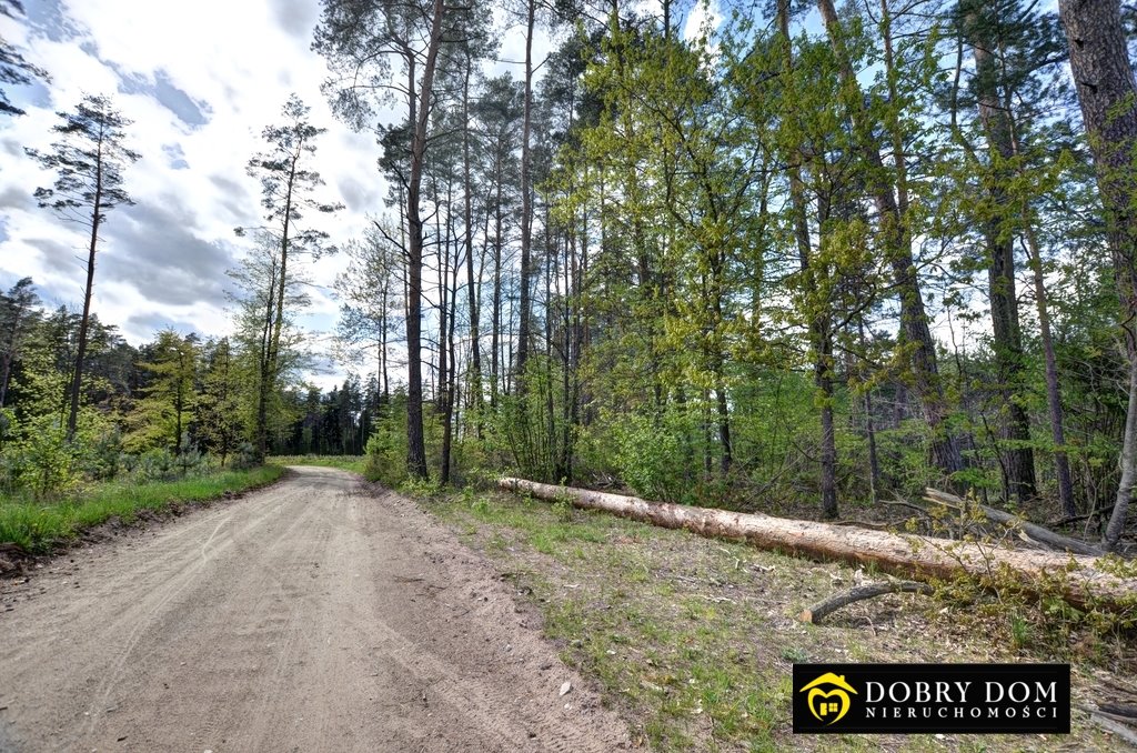Polecam działkę 3300 m² wśród lasów i jezior - idealna oaza spokoju Posejnele  3 300m2 Foto 1