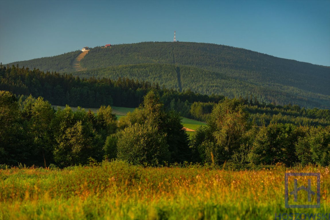 Działka budowlana na sprzedaż Świeradów-Zdrój  800m2 Foto 6