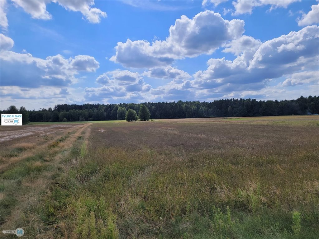 Działka 8 000 m² z warunkami zabudowy i dostępem do mediów Kluczewsko, Stanowiska  8 000m2 Foto 1