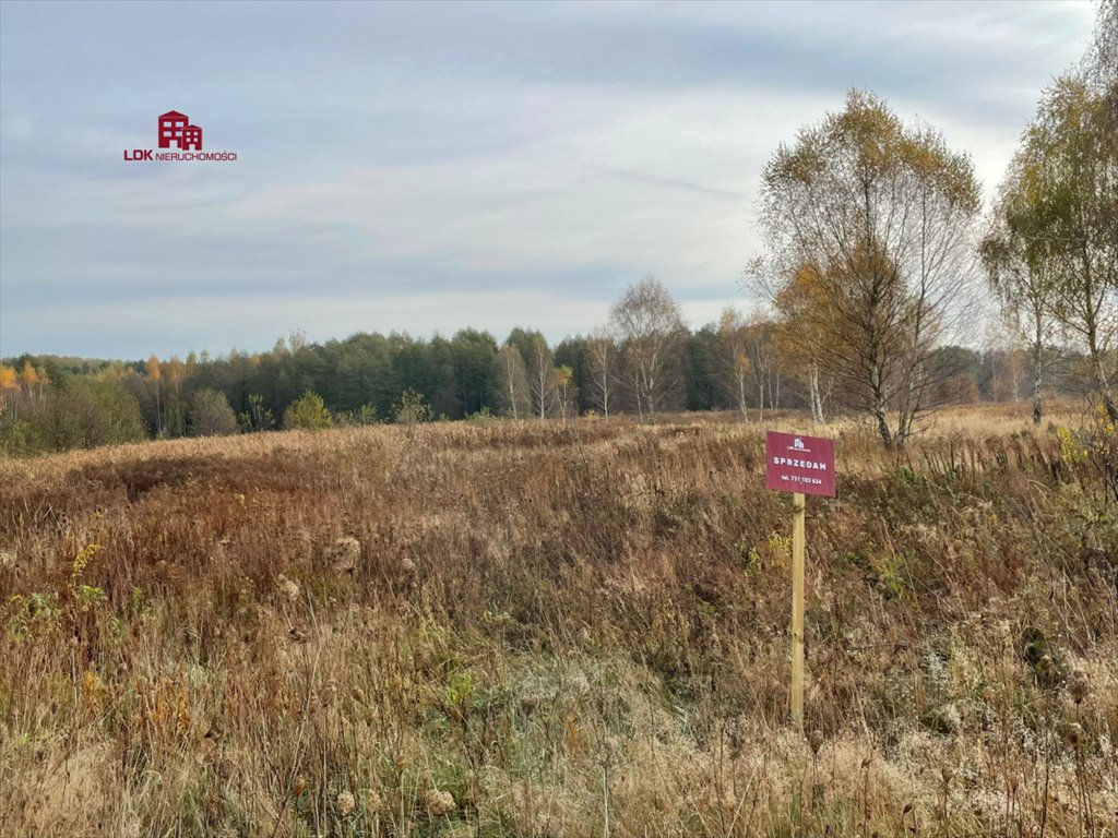 Działka budowlana na sprzedaż Zielona Góra  35 300m2 Foto 9