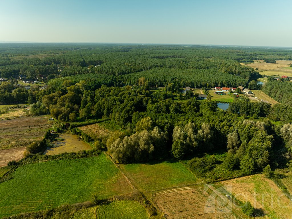 Działka budowlana na sprzedaż Stawno  29 200m2 Foto 9