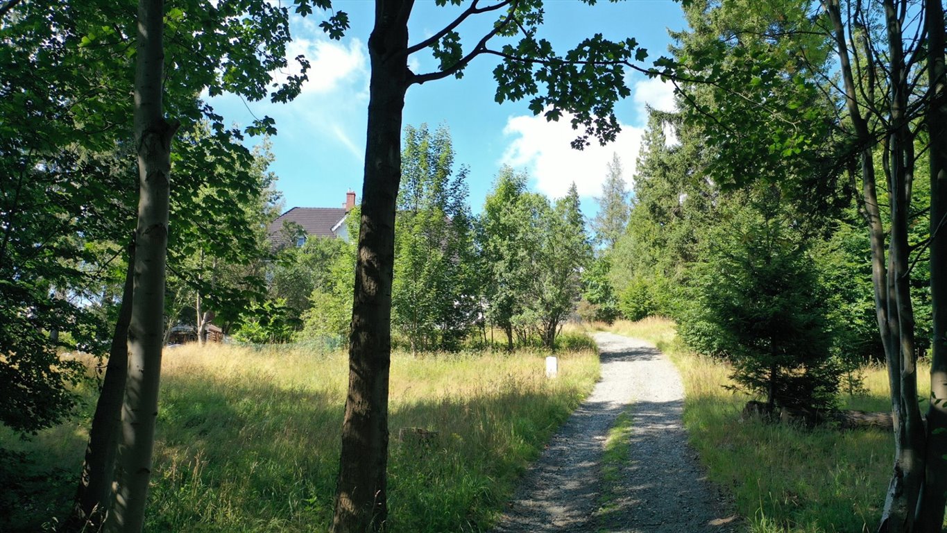 Działka budowlana na sprzedaż Szklarska Poręba, Huta, Kryształowa  1 006m2 Foto 1