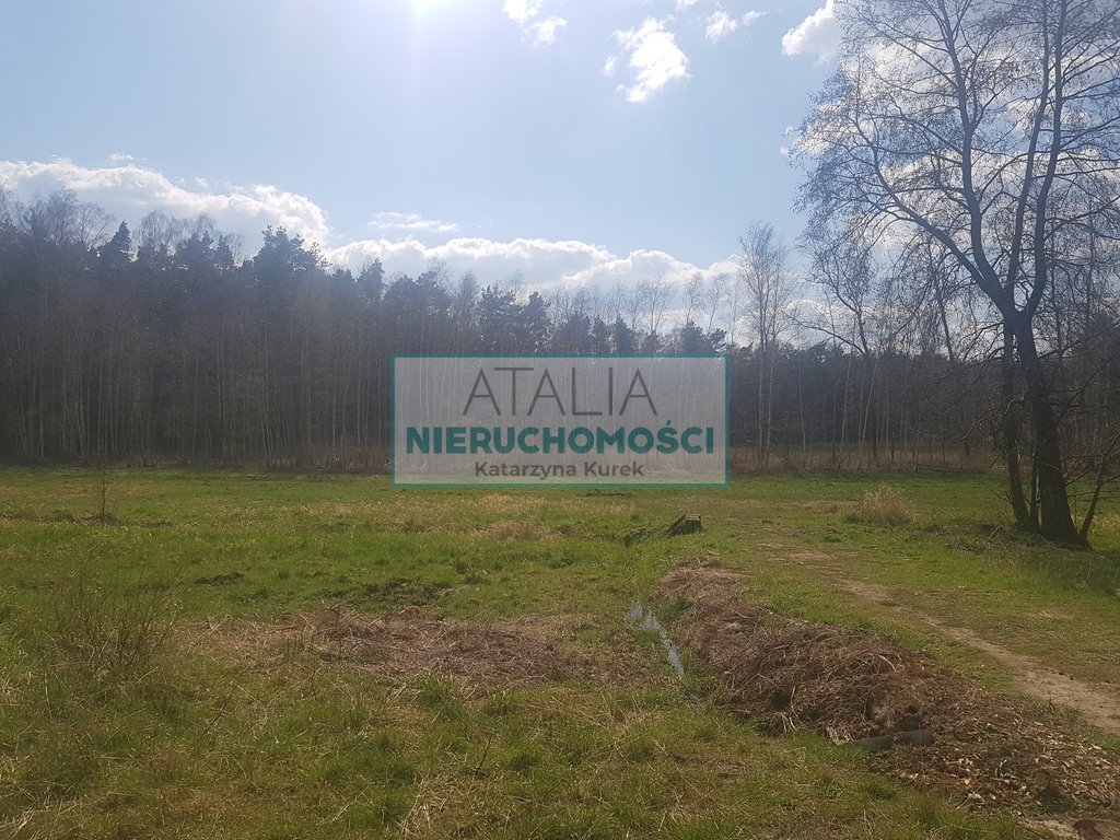 Działka 1,2 ha z planem podziału i starodrzewiem - polecam! Książenice  12 000m2 Foto 1