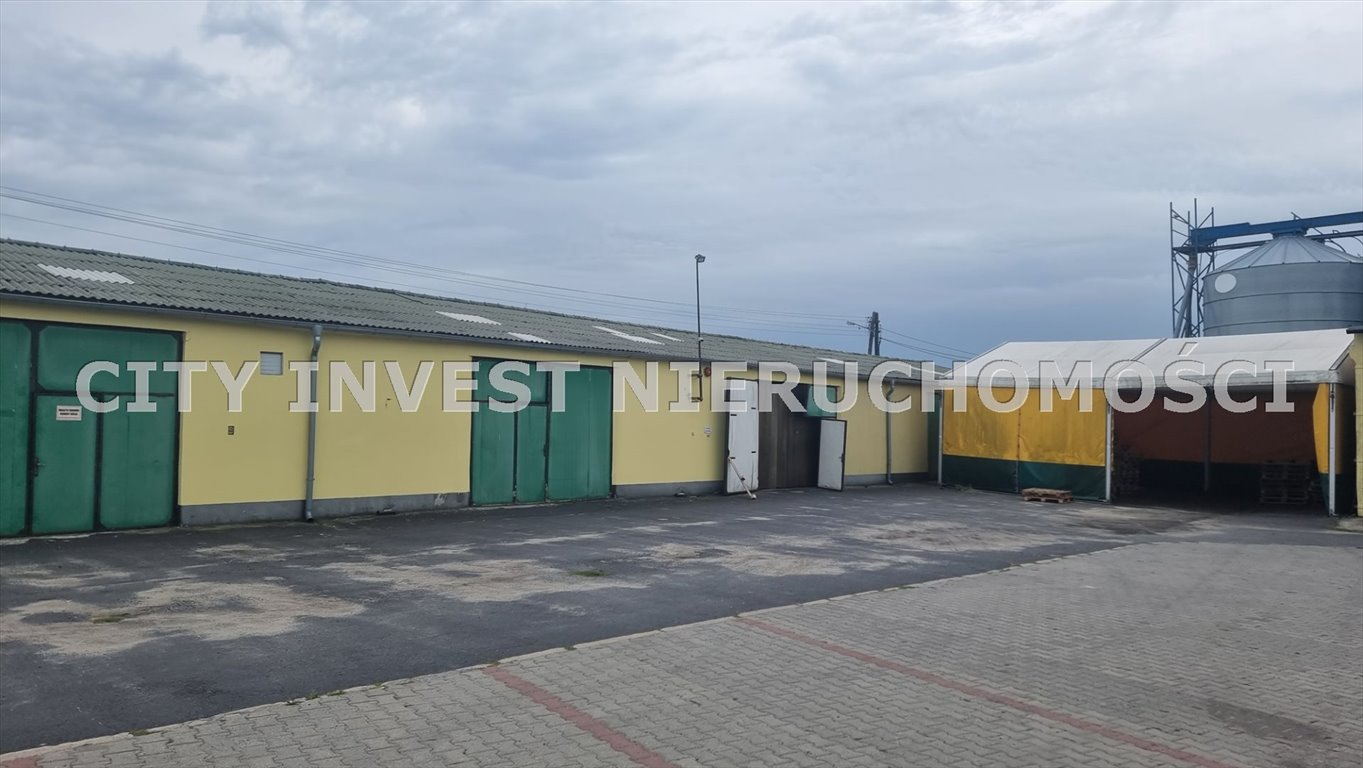 Lokal użytkowy na sprzedaż Pniewy  10 060m2 Foto 1