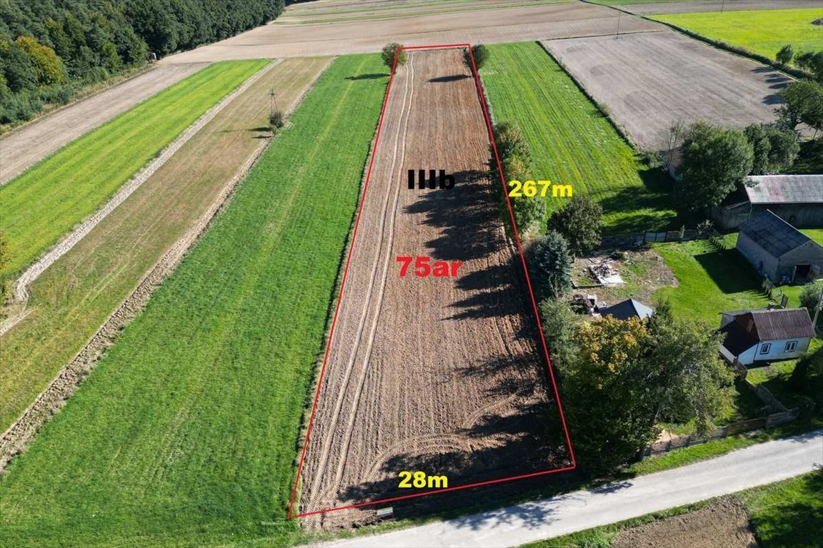 Działka rolna na sprzedaż Podleśna Wola Górna  7 490m2 Foto 1